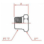 PT Connection Screw-in Blind Plug