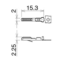 Male contact for signal