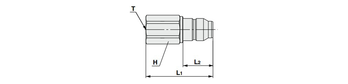 With check valve, female thread type dimensional drawing