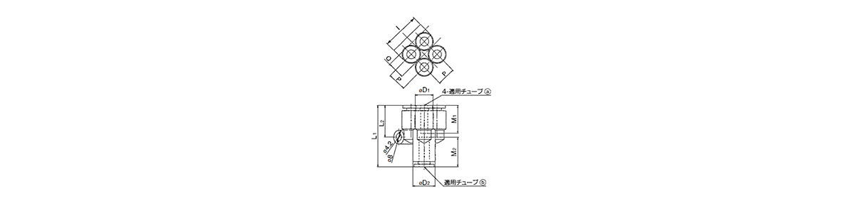 Different-Diameter Double Union 