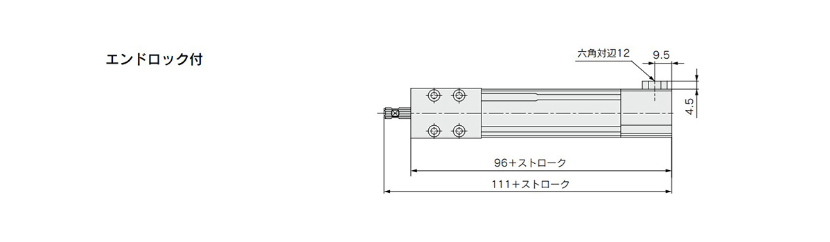 Bore size 12 mm with end lock dimensional drawing