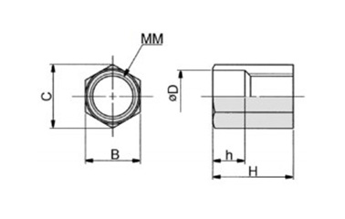 RB-OEMS1.25M dimensional drawing