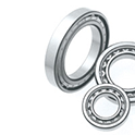 Cylindrical Roller Bearing (Radial)