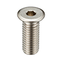 Ultra Low-Profile Head Bolt With Hex Socket SSH