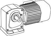 Gear motor_3